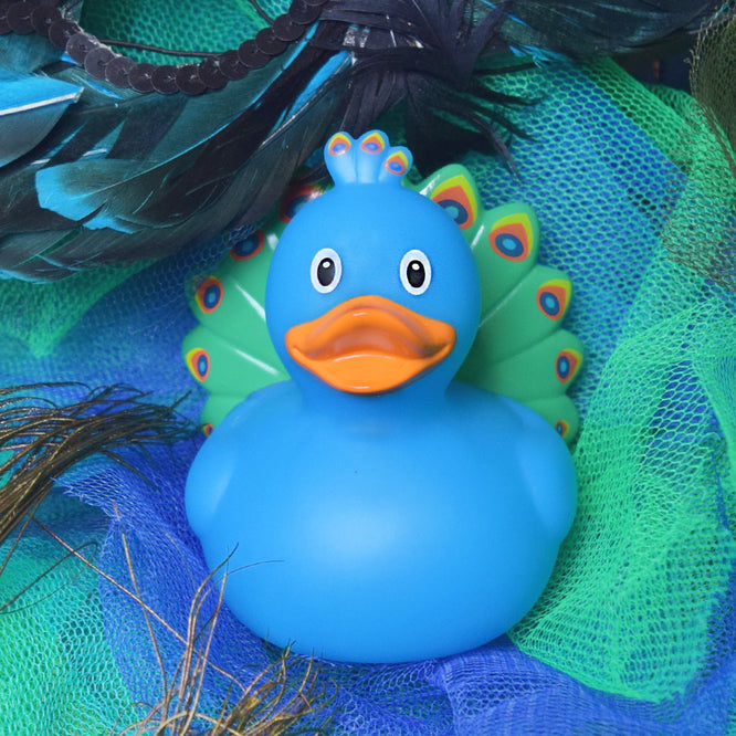 Canard Paon         