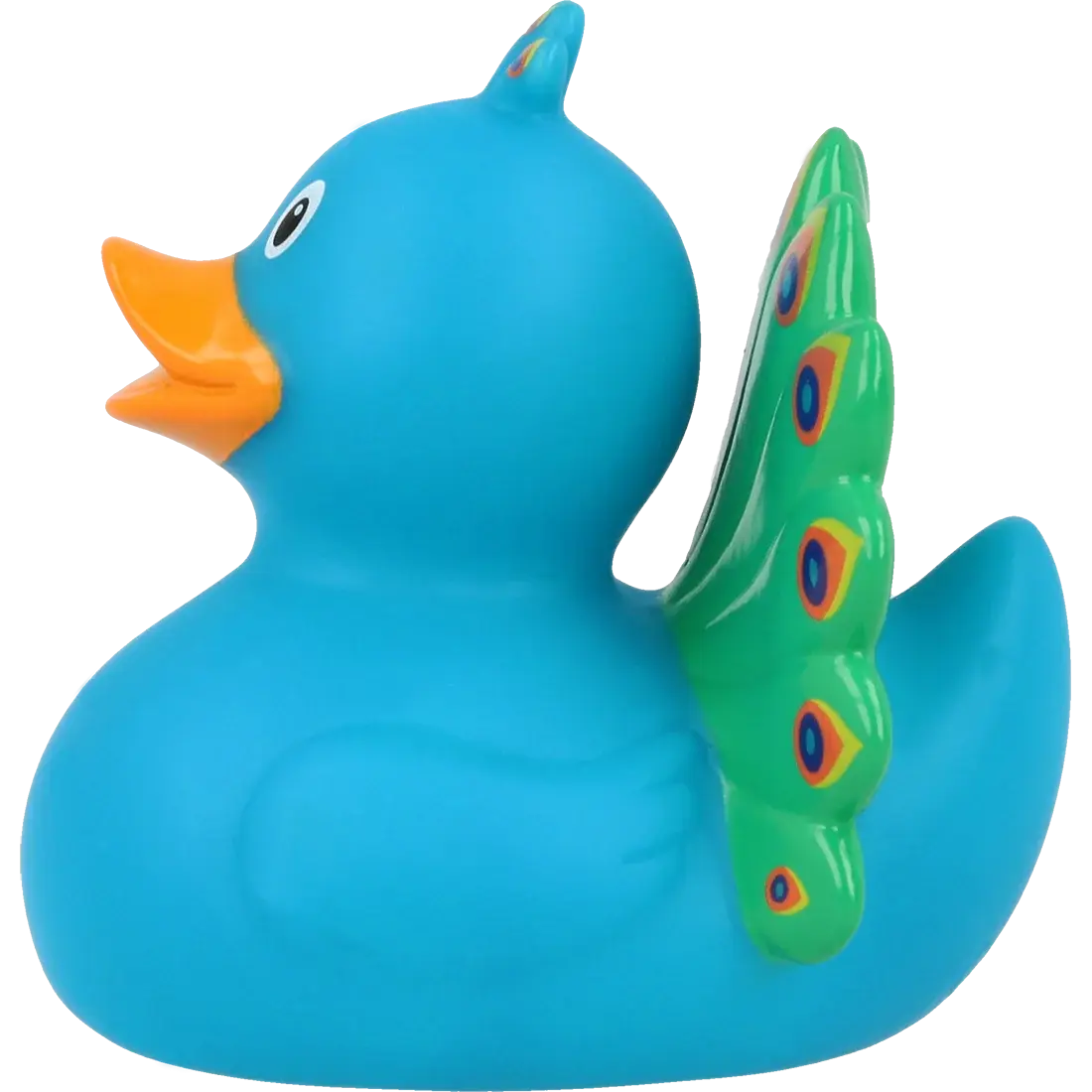 Canard Paon         