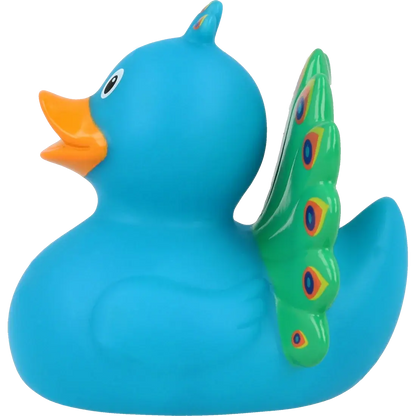 Canard Paon         