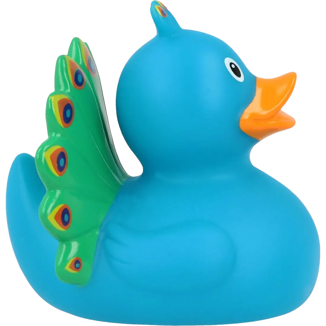 Canard Paon         