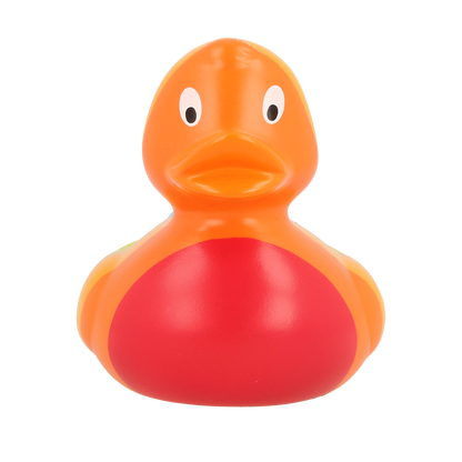 Colorful Rainbow Rubber Duck