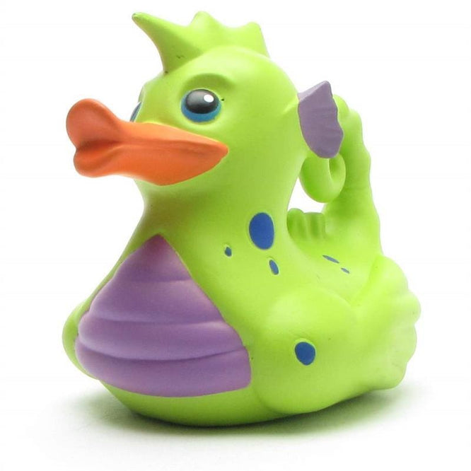 Canard L'hippocampe