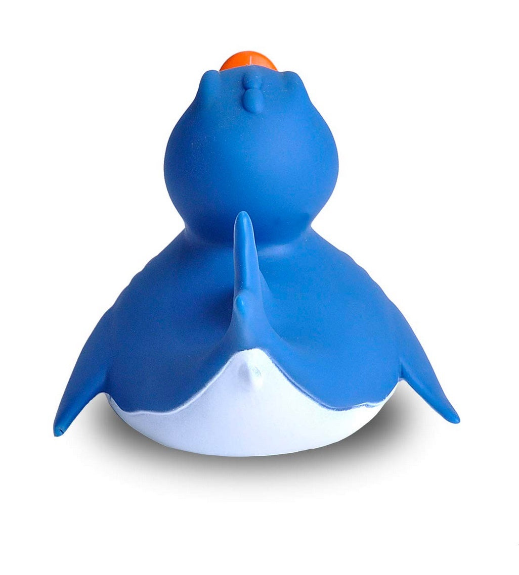 Shark Rubber Duck
