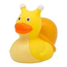Snail Rubber Duck