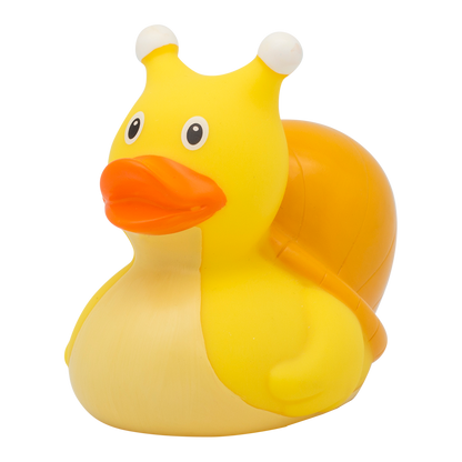 Snail Rubber Duck