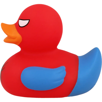 Canard Spidy 