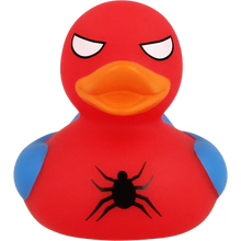 Canard Spidy 