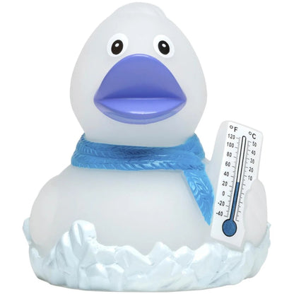 Frosty Rubber Duck