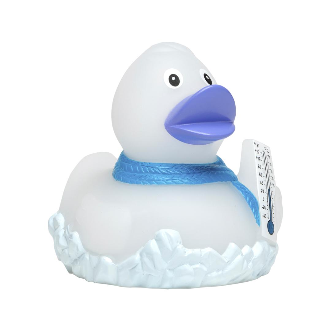 Frosty Rubber Duck