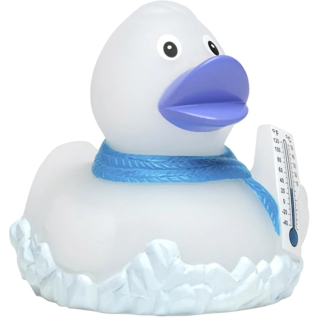 Frosty Rubber Duck