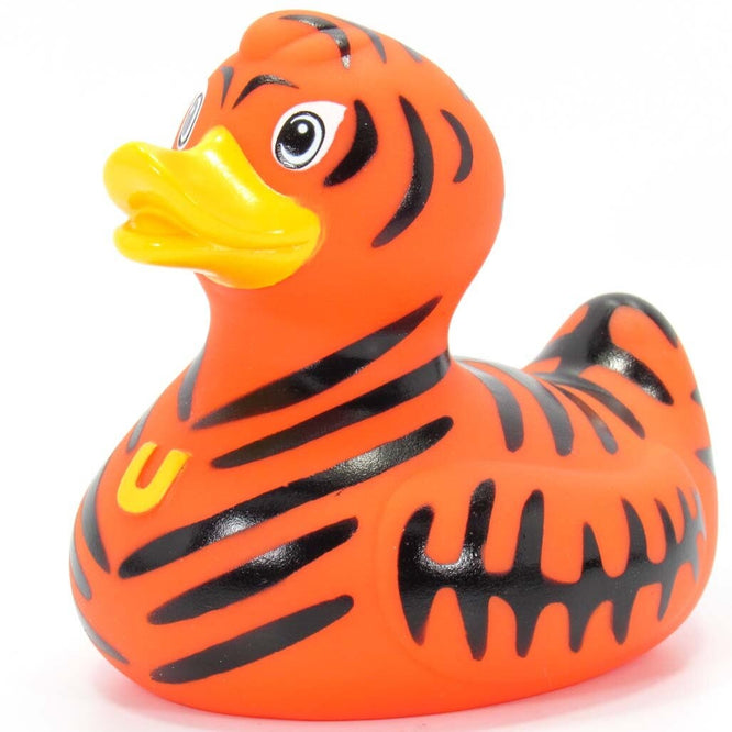 Canard Le tigre sauvage