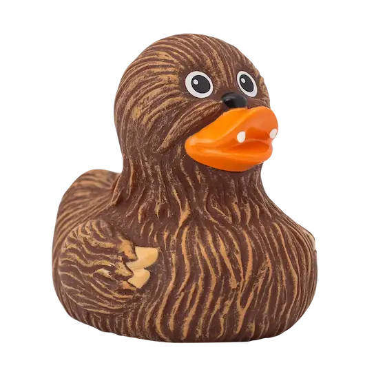 Canard Chewie