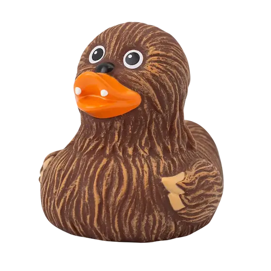 Canard Chewie