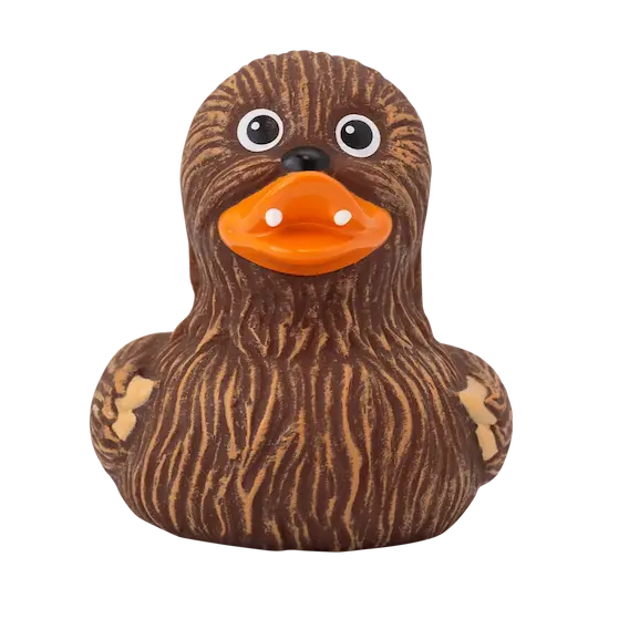 Canard Chewie