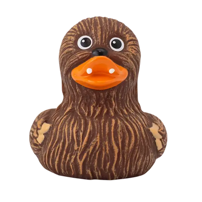 Canard Chewie