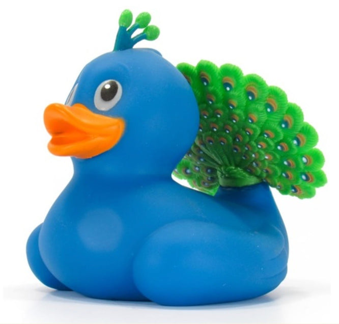 Canard Le paon