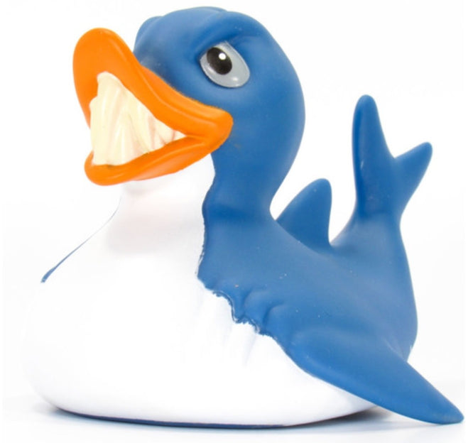 Canard Le Requin