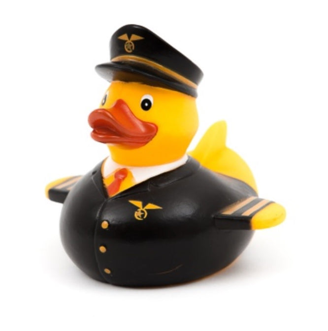 Canard le pilote commercial