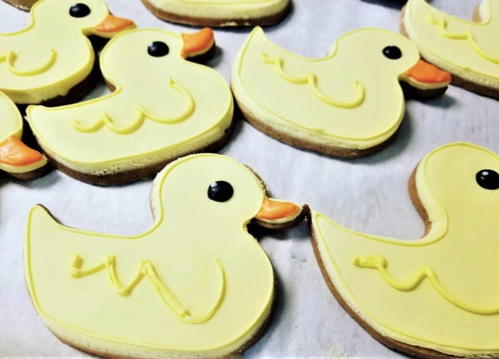 Rubber Duck Cookie Cutter
