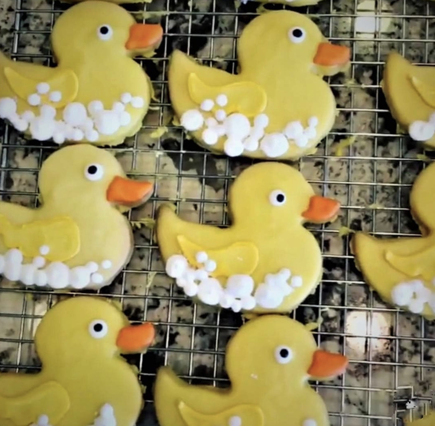 Rubber Duck Cookie Cutter