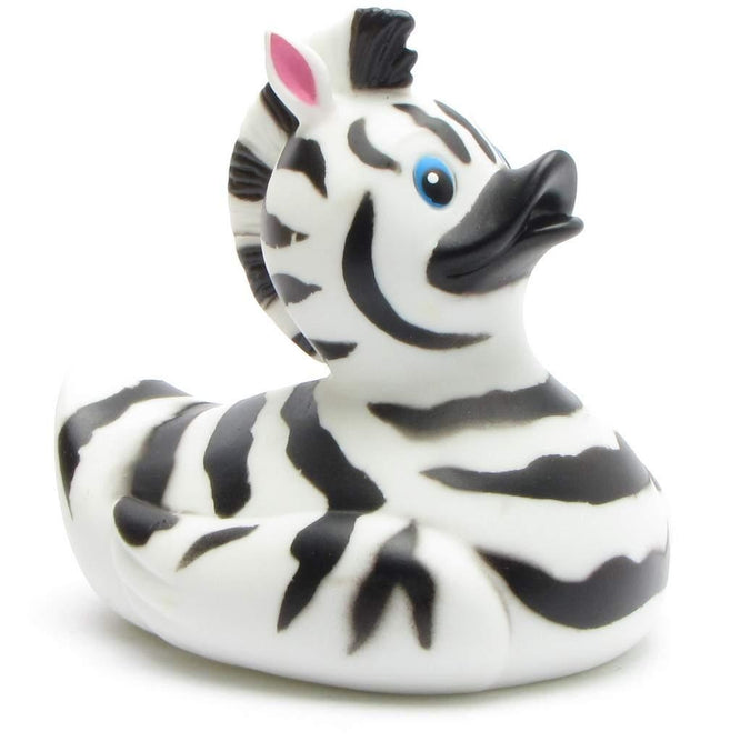 Canard Le Zèbre